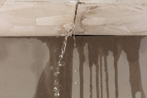 Professional Water Damage Repair technician working in Elmer City, WA